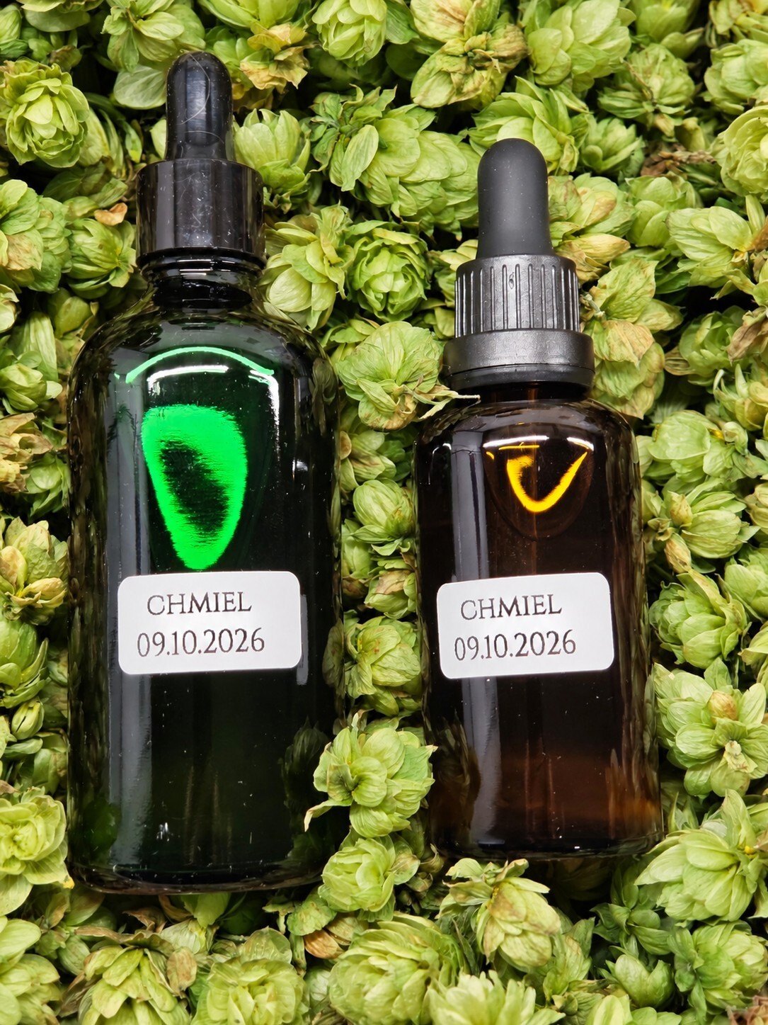Wyciąg z szyszek chmielu 50 ml